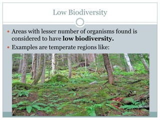 Low and high biodiversity