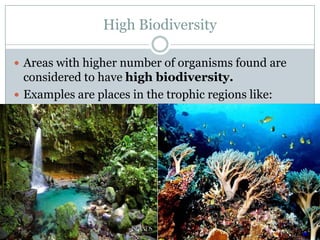Low and high biodiversity