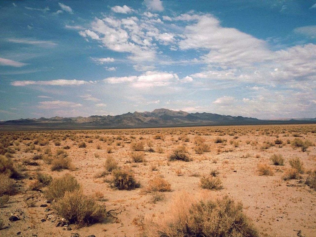 Low and high biodiversity