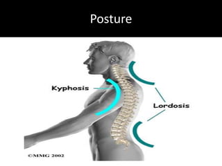 Low back dysfunction for acute and chronic injuries | PPTX