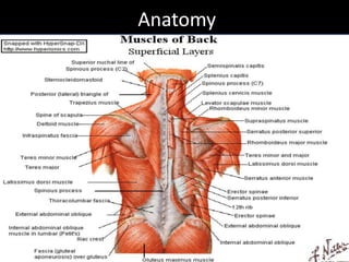 Low back dysfunction for acute and chronic injuries | PPTX