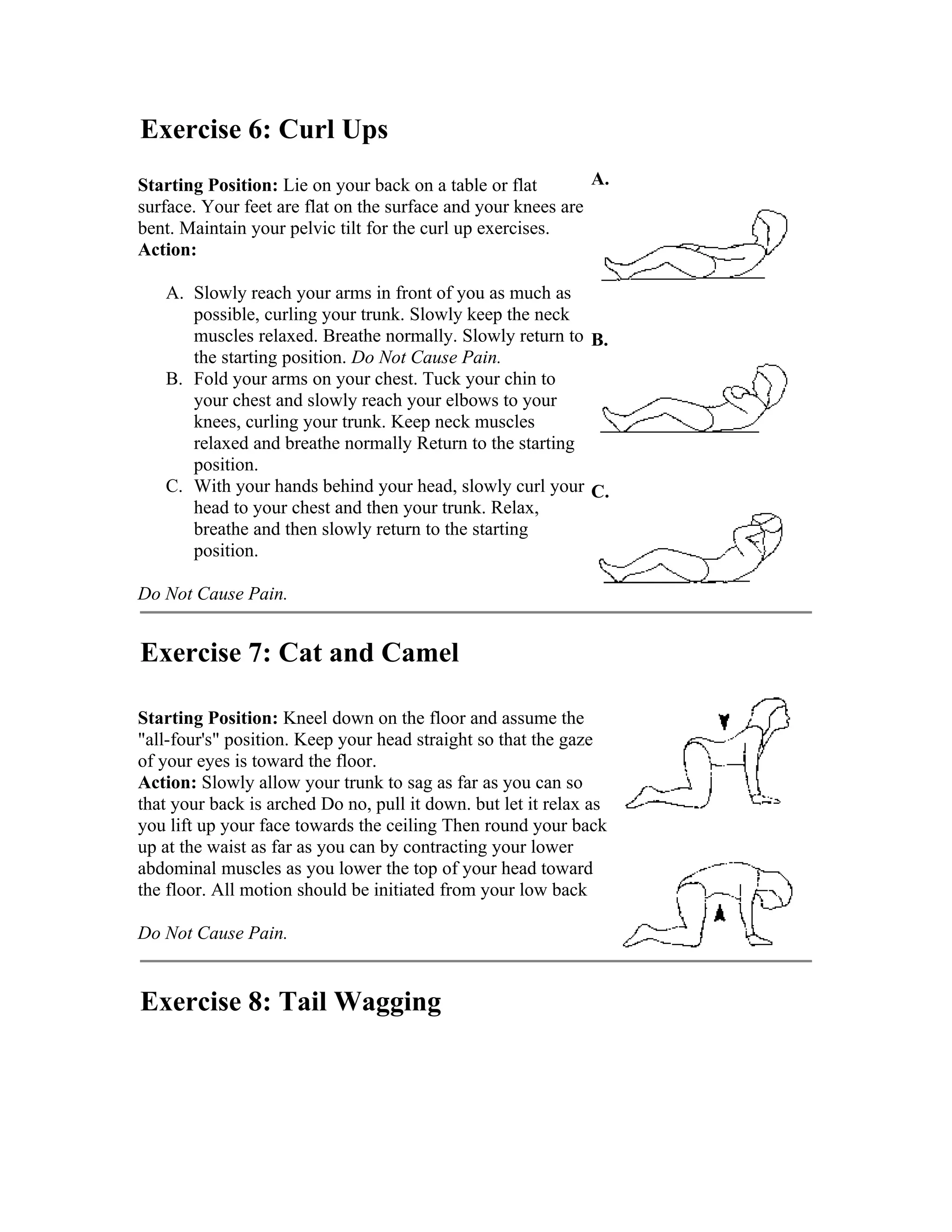 Low Back Exercise PDF