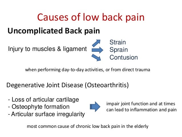 Low Back Pain