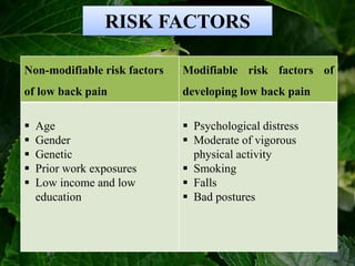 RISK FACTORS
Non-modifiable risk factors
of low back pain
Modifiable risk factors of
developing low back pain
 Age
 Gender
 Genetic
 Prior work exposures
 Low income and low
education
 Psychological distress
 Moderate of vigorous
physical activity
 Smoking
 Falls
 Bad postures
 