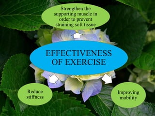 EFFECTIVENESS
OF EXERCISE
Strengthen the
supporting muscle in
order to prevent
straining soft tissue
Improving
mobility
Reduce
stiffness
 