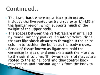  The lower back where most back pain occurs
includes the five vertebrae (referred to as L1-L5) in
the lumbar region, which supports much of the
weight of the upper body.
 The spaces between the vertebrae are maintained
by round, rubbery pads called intervertebral discs
that act like shock absorbers throughout the spinal
column to cushion the bones as the body moves.
 Bands of tissue known as ligaments hold the
vertebrae in place, and tendons attach the muscles
to the spinal column. Thirty-one pairs of nerves are
rooted to the spinal cord and they control body
movements and transmit signals from the body to
the brain.
 
