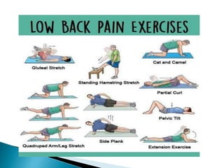 Low back pain | PPT