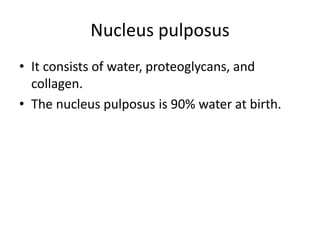 Nucleus pulposus
• It consists of water, proteoglycans, and
collagen.
• The nucleus pulposus is 90% water at birth.
 