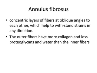 Annulus fibrosus
• concentric layers of fibers at oblique angles to
each other, which help to with-stand strains in
any direction.
• The outer fibers have more collagen and less
proteoglycans and water than the inner fibers.
 