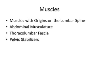 Muscles
• Muscles with Origins on the Lumbar Spine
• Abdominal Musculature
• Thoracolumbar Fascia
• Pelvic Stabilizers
 