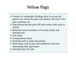 Yellow flags
 