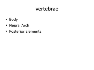 vertebrae
• Body
• Neural Arch
• Posterior Elements
 