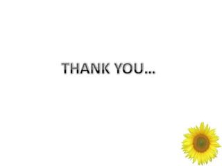 Sciatica (lumbar radiculopathy)