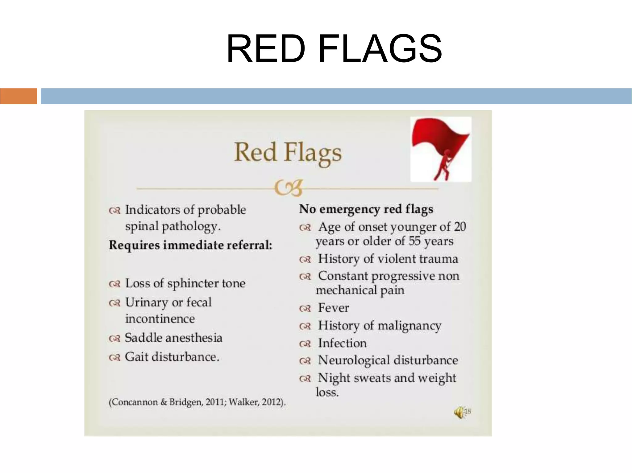 RED FLAGS
 