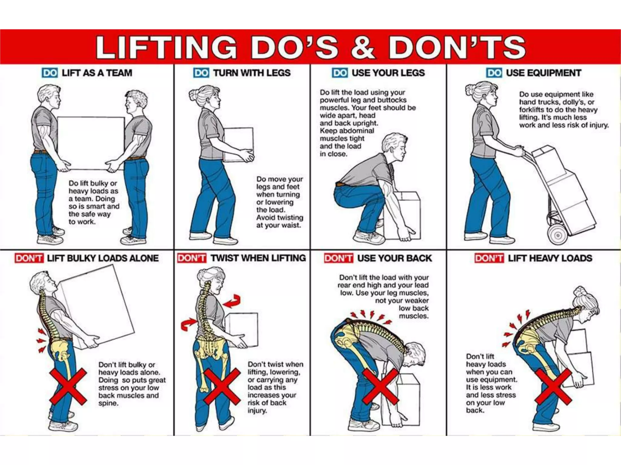 Low back pain & ergonomics 