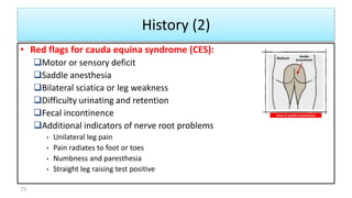 History (2)
29
• Red flags for cauda equina syndrome (CES):
Motor or sensory deficit
Saddle anesthesia
Bilateral sciatica or leg weakness
Difficulty urinating and retention
Fecal incontinence
Additional indicators of nerve root problems
• Unilateral leg pain
• Pain radiates to foot or toes
• Numbness and paresthesia
• Straight leg raising test positive
 