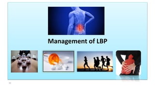 Management of LBP
52
 