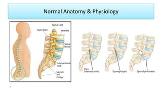 Normal Anatomy & Physiology
9
 