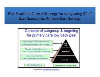 Low back pain guidelines IFOMPT 2012 | PDF
