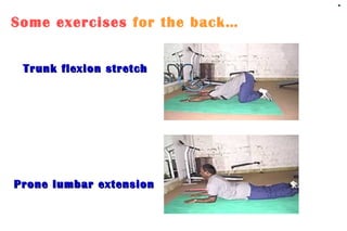 Low Back Pain In Computer Professionals | PPT