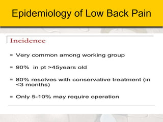 Epidemiology of Low Back Pain
 