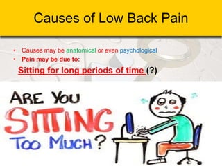 Causes of Low Back Pain
• Causes may be anatomical or even psychological
• Pain may be due to:
Sitting for long periods of time (?)
 