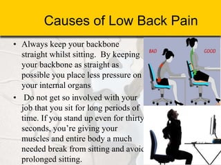 Causes of Low Back Pain
• Always keep your backbone
straight whilst sitting. By keeping
your backbone as straight as
possible you place less pressure on
your internal organs
• Do not get so involved with your
job that you sit for long periods of
time. If you stand up even for thirty
seconds, you’re giving your
muscles and entire body a much
needed break from sitting and avoid
prolonged sitting.
 