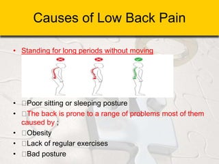 Causes of Low Back Pain
• Standing for long periods without moving
• Poor sitting or sleeping posture
• The back is prone to a range of problems most of them
caused by ;
• Obesity
• Lack of regular exercises
• Bad posture
 