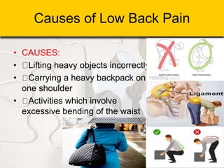 Causes of Low Back Pain
• CAUSES:
• Lifting heavy objects incorrectly
• Carrying a heavy backpack on
one shoulder
• Activities which involve
excessive bending of the waist
 