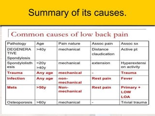 Summary of its causes.
 
