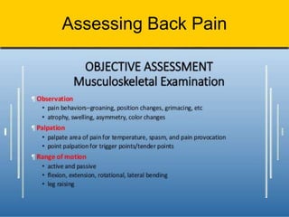 Assessing Back Pain
 