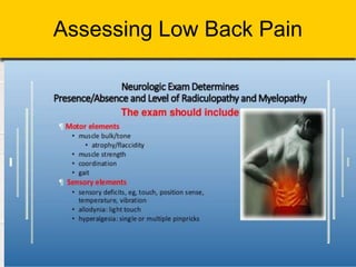 Assessing Low Back Pain
 