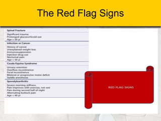 The Red Flag Signs
 