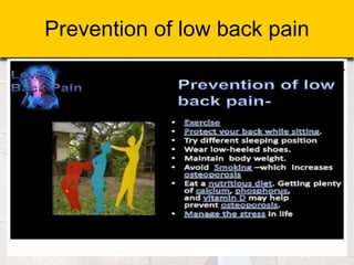 Prevention of low back pain
 