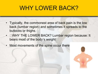 WHY LOWER BACK?
• Typically, the commonest area of back pain is the low
back (lumbar region) and sometimes it spreads to the
buttocks or thighs.
• WHY THE LOWER BACK? Lumbar region because: It
bears most of the body’s weight
• Most movements of the spine occur there.
 