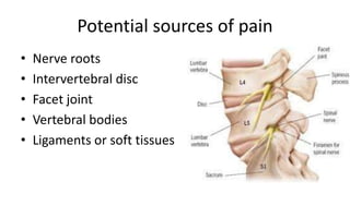 Potential sources of pain
• Nerve roots
• Intervertebral disc
• Facet joint
• Vertebral bodies
• Ligaments or soft tissues
 