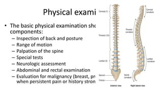 Physical examination
• The basic physical examination should include the following
components:
– Inspection of back and posture
– Range of motion
– Palpation of the spine
– Special tests
– Neurologic assessment
– Abdominal and rectal examination
– Evaluation for malignancy (breast, prostate, lymph node exam)
when persistent pain or history strongly suggests systemic disease
 