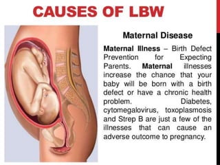 Low Birth Weight Baby-PPT.pptx
