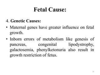 Fetal Cause:
4. Genetic Causes:
• Maternal genes have greater influence on fetal
growth.
• Inborn errors of metabolism like genesis of
pancreas, congenital lipodystrophy,
galactosemia, phenylketonuria also result in
growth restriction of fetus.
28
 