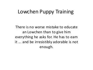 Lowchen Puppy Training

There is no worse mistake to educate
       an Lowchen than to give him
everything he asks for. He has to earn
it ... and be irresistibly adorable is not
                  enough.
 