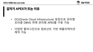 (알도개) APEX 사례로 보는 Low Code | PPT