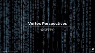Vertex Perspectives
低代码平台
照片来源：Mark Spiske, Unsplash
 