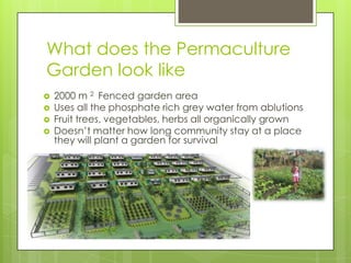 What does the Permaculture
Garden look like
 2000 m 2 Fenced garden area
 Uses all the phosphate rich grey water from ablutions
 Fruit trees, vegetables, herbs all organically grown
 Doesn’t matter how long community stay at a place
they will plant a garden for survival
 