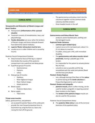 LOWER LIMB LDCUCOM: 1ST YEAR MED
SNELL’S CLINICAL ANATOMY 10TH ED. BY REGIONS CREDITS: PULIDO, ZARTIGA , GILLAMAC, ARITRANGCO, CALAMBA
Tenosynovitis and Dislocation of Fibularis Longus and
Brevis Tendons
● Tenosynovitis (inflammation of the synovial
sheaths)
● Treatment consists of immobilization, heat, and
physiotherapy.
● Tendon dislocation can occur when the tendons
of fibularis longus and brevis dislocate forward
from behind the lateral malleolus.
● superior fibular retinaculum must be torn.
● usually occurs in older children and is caused by
trauma.
Posterior Fascial Compartment Contents
● Deep transverse fascia of the leg is a septum
that divides the muscles of the posterior
compartment into superficial and deep groups
● Superficial group of muscles:
○ Gastrocnemius
○ Plantaris
○ soleus
● Deep group of muscles:
○ Popliteus
○ flexor digitorum longus
○ flexor hallucis longus
○ tibialis posterior
● Blood supply:
○ Posterior tibial artery
● Nerve supply:
○ Tibial nerve
Triceps surae muscles:
Soleus, gastrocnemius, and plantaris
- act as powerful plantar flexors of the ankle joint
- provide the main forward propulsive force in
locomotion by using the foot as a lever and
raising the heel off the ground.
- The gastrocnemius and soleus insert into the
calcaneum together via the common tendo
calcaneus (Achilles tendon)
- three-headed muscle in the calf
Gastrocnemius and Soleus Muscle Tears
- produces severe localized pain, swelling over
the damaged muscle.
Ruptured Tendo Calcaneus
- common sport-related injury
- rupture occurs at its narrowest part, about 2 in.
(5 cm) above its insertion.
- A sudden, sharp pain is felt, with immediate
disability.
- The gastrocnemius and soleus muscles retract
proximally, leaving a palpable gap in the
tendon.
- It is impossible for the patient to actively plantar
flex the foot.
- sutured as soon as possible and the leg
immobilized with the ankle joint plantar flexed
and the knee joint flexed.
Plantaris Tendon Rupture
- rare, although tearing of the fibers of the soleus
or partial tearing of the tendo calcaneus is
frequently diagnosed as such a rupture.
Plantaris Tendon and Autografts
- plantaris muscle, which is often missing, can be
used for tendon autografts in repairing severed
flexor tendons to the fingers.
- The tendon of the palmaris longus muscle can
also be used for this purpose.
Posterior Fascial Compartment Artery
● The posterior tibial artery is one of the terminal
branches of the popliteal artery
 