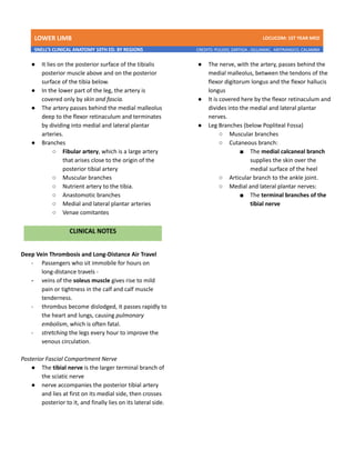 LOWER LIMB LDCUCOM: 1ST YEAR MED
SNELL’S CLINICAL ANATOMY 10TH ED. BY REGIONS CREDITS: PULIDO, ZARTIGA , GILLAMAC, ARITRANGCO, CALAMBA
● It lies on the posterior surface of the tibialis
posterior muscle above and on the posterior
surface of the tibia below.
● In the lower part of the leg, the artery is
covered only by skin and fascia.
● The artery passes behind the medial malleolus
deep to the flexor retinaculum and terminates
by dividing into medial and lateral plantar
arteries.
● Branches
○ Fibular artery, which is a large artery
that arises close to the origin of the
posterior tibial artery
○ Muscular branches
○ Nutrient artery to the tibia.
○ Anastomotic branches
○ Medial and lateral plantar arteries
○ Venae comitantes
Deep Vein Thrombosis and Long-Distance Air Travel
- Passengers who sit immobile for hours on
long-distance travels -
- veins of the soleus muscle gives rise to mild
pain or tightness in the calf and calf muscle
tenderness.
- thrombus become dislodged, it passes rapidly to
the heart and lungs, causing pulmonary
embolism, which is often fatal.
- stretching the legs every hour to improve the
venous circulation.
Posterior Fascial Compartment Nerve
● The tibial nerve is the larger terminal branch of
the sciatic nerve
● nerve accompanies the posterior tibial artery
and lies at first on its medial side, then crosses
posterior to it, and finally lies on its lateral side.
● The nerve, with the artery, passes behind the
medial malleolus, between the tendons of the
flexor digitorum longus and the flexor hallucis
longus
● It is covered here by the flexor retinaculum and
divides into the medial and lateral plantar
nerves.
● Leg Branches (below Popliteal Fossa)
○ Muscular branches
○ Cutaneous branch:
■ The medial calcaneal branch
supplies the skin over the
medial surface of the heel
○ Articular branch to the ankle joint.
○ Medial and lateral plantar nerves:
■ The terminal branches of the
tibial nerve
 