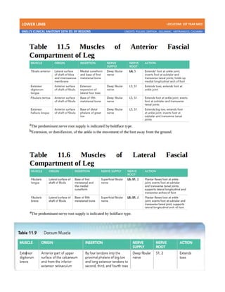 LOWER LIMB LDCUCOM: 1ST YEAR MED
SNELL’S CLINICAL ANATOMY 10TH ED. BY REGIONS CREDITS: PULIDO, ZARTIGA , GILLAMAC, ARITRANGCO, CALAMBA
 