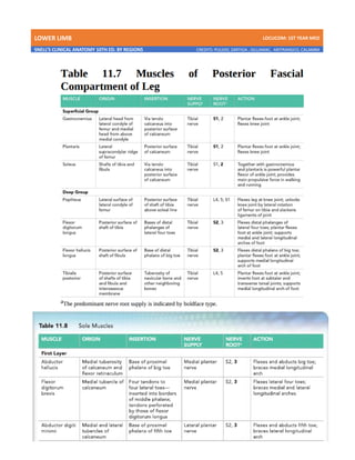 LOWER LIMB LDCUCOM: 1ST YEAR MED
SNELL’S CLINICAL ANATOMY 10TH ED. BY REGIONS CREDITS: PULIDO, ZARTIGA , GILLAMAC, ARITRANGCO, CALAMBA
 