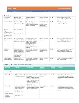 LOWER LIMB LDCUCOM: 1ST YEAR MED
SNELL’S CLINICAL ANATOMY 10TH ED. BY REGIONS CREDITS: PULIDO, ZARTIGA , GILLAMAC, ARITRANGCO, CALAMBA
 