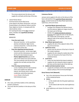 LOWER LIMB LDCUCOM: 1ST YEAR MED
SNELL’S CLINICAL ANATOMY 10TH ED. BY REGIONS CREDITS: PULIDO, ZARTIGA , GILLAMAC, ARITRANGCO, CALAMBA
- The nerves extend onto the dorsum and
supply the nail beds and the tips of the toes.
2. Lateral Plantar Nerve
- terminal branch of the tibial nerve
- arises deep to the flexor retinaculum and runs
forward deep to the abductor hallucis and the
flexor digitorum brevis, in company with the
lateral plantar artery
- On reaching the base of the fifth metatarsal
bone, It divides into superficial and deep
branches.
BRANCHES
- From the main trunk:
- Muscular branches - to the quadratus
plantae and abductor digiti minimi;
- cutaneous branches - to the skin of the
lateral part of the sole.
- From the superficial terminal branch:
- Muscular branches - to the nexor digiti
minimi and the interosseous muscles of
the fourth intermetatarsal space.
- Plantar digital branches pass to the
sides of the lateral one and a half toes.
The nerve extends onto the dorsum and
supplies the nail beds and tips of the
toes.
- From the deep terminal branch:
- curves medially with the lateral plantar
artery and supplies the adductor
hallucis; the second, third. and fourth
Lumbricals; and all the interossei.
except those in the fourth
intermetatarsal space
DORSUM
● thin, hairy, and freely mobile on the underlying
tendons and bones.
● This much like the condition in the dorsum of the
hand.
Cutaneous Nerves
sensory nerve supply to the skin on the dorsum of the
foot is derived from the superficial fibular (peroneal)
nerve, assisted mainly by the deep fibular (peroneal),
saphenous, and sural nerves
● superficial fibular (peroneal) nerve
○ emerges from between the fibularis brevis
and the extensor digitorum longus muscle in
the lower part of the leg.
○ divides into medial and lateral cutaneous
branches that supply the skin on the dorsum,
the medial side of the big toe, and the
adjacent sides of the second, third, fourth,
and fifth toes.
● deep fibular (peroneal) nerve
○ supplies the skin of the adjacent sides of the
big and second toes.
● saphenous nerve
○ passes onto the dorsum of the foot in front of
the medial malleolus
○ supplies the skin along the medial side of the
foot as far forward as the head of the first
metatarsal bone.
● sural nerve
○ enters the foot behind the lateral malleolus
○ supplies the skin along the lateral margin of
the foot and the lateral side of the little toe.
● medial and lateral plantar nerves
○ supply the nail beds and the skin covering the
dorsal surfaces of the terminal phalanges
Dorsal Venous Arch (Network)
● lies in the subcutaneous tissue over the heads
of the metatarsal bones
● drains:
○ on the medial side into the great saphenous
vein and
○ on the lateral side Into the small saphenous
vein.
● great saphenous vein leaves the dorsum of the
foot
 