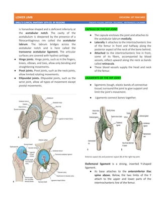 LOWER LIMB LDCUCOM: 1ST YEAR MED
SNELL’S CLINICAL ANATOMY 10TH ED. BY REGIONS CREDITS: PULIDO, ZARTIGA , GILLAMAC, ARITRANGCO, CALAMBA
is horseshoe shaped and is deficient inferiorly at
the acetabular notch. The cavity of the
acetabulum is deepened by the presence of a
fibrocartilaginous rim called the acetabular
labrum. The labrum bridges across the
acetabular notch and is here called the
transverse acetabular ligament. The articular
surfaces are covered with hyaline cartilage.
● Hinge joints. Hinge joints, such as in the fingers,
knees, elbows, and toes, allow only bending and
straightening movements.
● Pivot joints. Pivot joints, such as the neck joints,
allow limited rotating movements.
● Ellipsoidal joints. Ellipsoidal joints, such as the
wrist joint, allow all types of movement except
pivotal movements.
CAPSULE OF THE HIP JOINT
● The capsule encloses the joint and attaches to
the acetabular labrum medially.
● Laterally it attaches to the intertrochanteric line
of the femur in front and halfway along the
posterior aspect of the neck of the bone behind.
● Attached to the intertrochanteric line in front,
some of its fibers, accompanied by blood
vessels, reflect upward along the neck as bands
called retinacula.
● These blood vessels supply the head and neck
of the femur.
LIGAMENTS OF THE HIP JOINT
● ligaments (tough, elastic bands of connective
tissue) surround the joint to give support and
limit the joint's movement.
● Ligaments connect bones together.
Anterior aspect (A) and posterior aspect (B) of the right hip joint.
Iliofemoral ligament is a strong, inverted Y-shaped
ligament.
● Its base attaches to the anteroinferior iliac
spine above. Below, the two limbs of the Y
attach to the upper and lower parts of the
intertrochanteric line of the femur.
 
